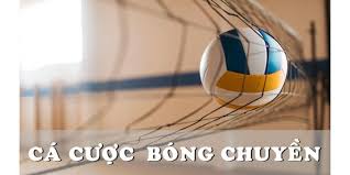 Hướng dẫn nhanh và dễ dàng để bắt đầu cá cược bóng chuyền 1XBIT.