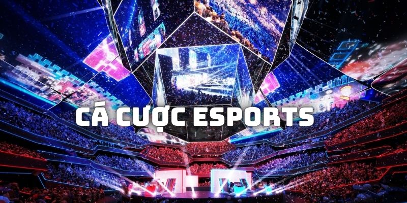 Những lợi thế vượt trội mà người chơi có được khi tham gia cá cược esport 1XBIT.