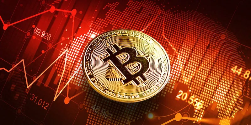 Trang giới thiệu chính thức nhà cái cá cược tiền điện tử 1XBIT