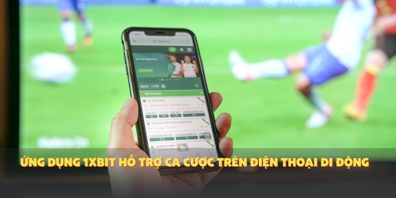 Ứng dụng 1XBIT hỗ trợ cá cược trên điện thoại di động